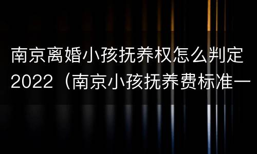 南京离婚小孩抚养权怎么判定2022（南京小孩抚养费标准一月多少钱）