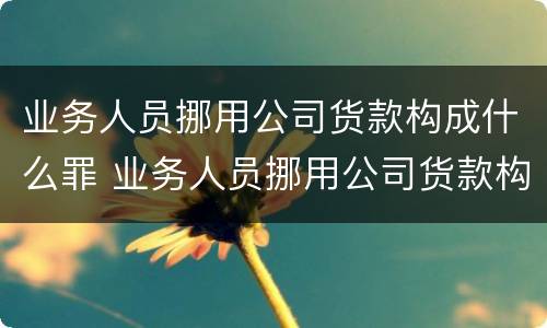 业务人员挪用公司货款构成什么罪 业务人员挪用公司货款构成什么罪行