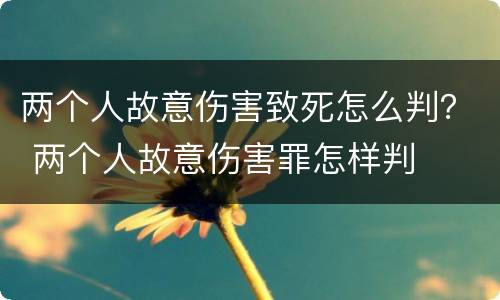 两个人故意伤害致死怎么判？ 两个人故意伤害罪怎样判