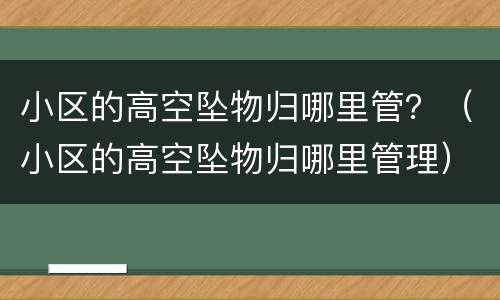 小区的高空坠物归哪里管？（小区的高空坠物归哪里管理）