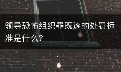 领导恐怖组织罪既遂的处罚标准是什么？