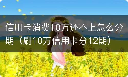 信用卡消费10万还不上怎么分期（刷10万信用卡分12期）