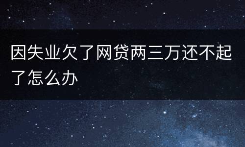因失业欠了网贷两三万还不起了怎么办