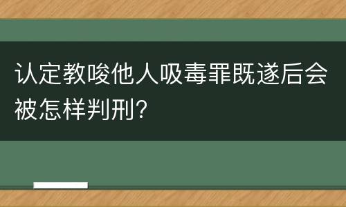 认定教唆他人吸毒罪既遂后会被怎样判刑?