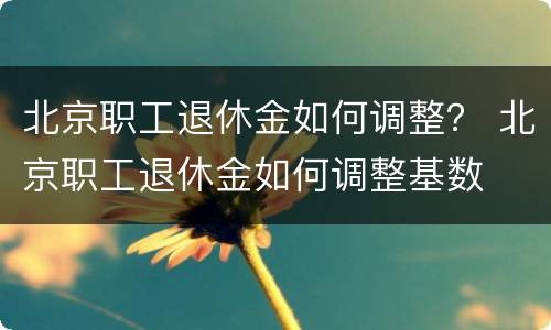 北京职工退休金如何调整？ 北京职工退休金如何调整基数