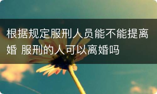 根据规定服刑人员能不能提离婚 服刑的人可以离婚吗