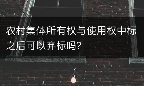 农村集体所有权与使用权中标之后可以弃标吗？