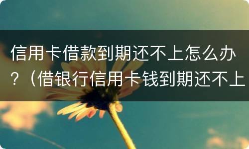 信用卡借款到期还不上怎么办?（借银行信用卡钱到期还不上的后果）