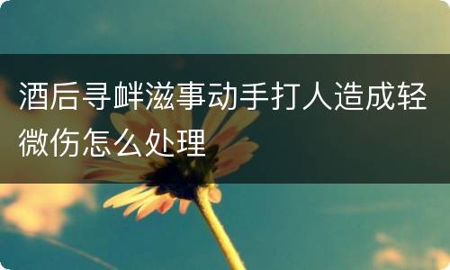 酒后寻衅滋事动手打人造成轻微伤怎么处理