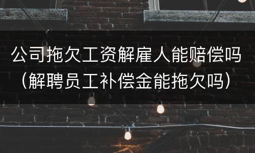 公司拖欠工资解雇人能赔偿吗（解聘员工补偿金能拖欠吗）