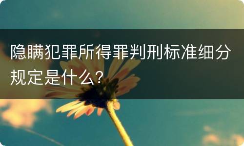 隐瞒犯罪所得罪判刑标准细分规定是什么？