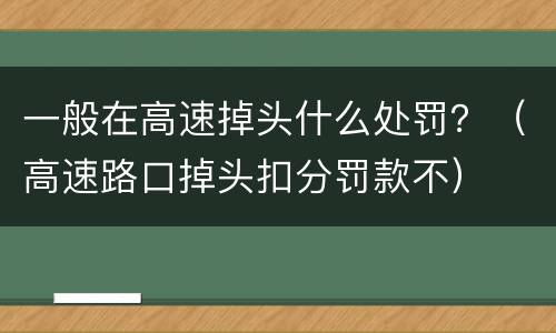 一般在高速掉头什么处罚？（高速路口掉头扣分罚款不）