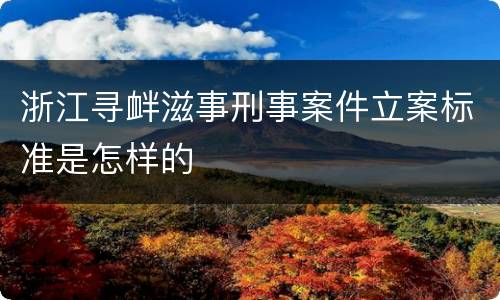 浙江寻衅滋事刑事案件立案标准是怎样的