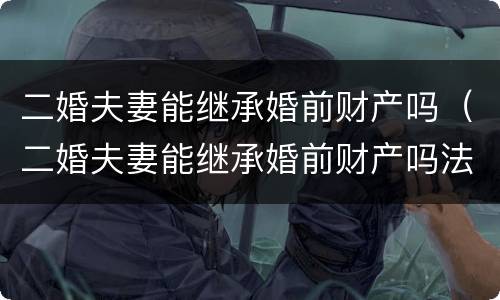 二婚夫妻能继承婚前财产吗（二婚夫妻能继承婚前财产吗法律）