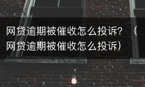 网贷逾期被催收怎么投诉？（网贷逾期被催收怎么投诉）