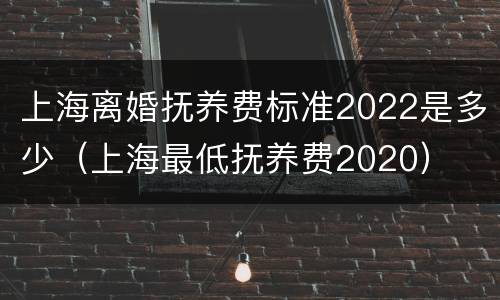 上海离婚抚养费标准2022是多少（上海最低抚养费2020）
