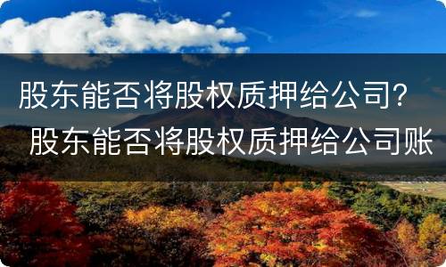 股东能否将股权质押给公司？ 股东能否将股权质押给公司账户