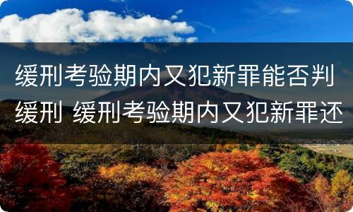 缓刑考验期内又犯新罪能否判缓刑 缓刑考验期内又犯新罪还能判缓刑吗