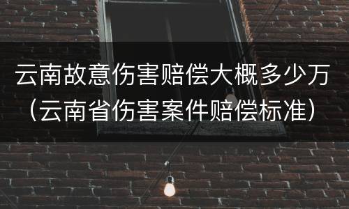 云南故意伤害赔偿大概多少万（云南省伤害案件赔偿标准）
