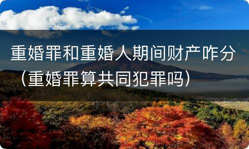 重婚罪和重婚人期间财产咋分（重婚罪算共同犯罪吗）