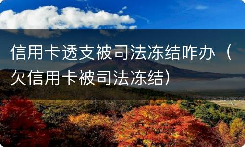 信用卡透支被司法冻结咋办（欠信用卡被司法冻结）