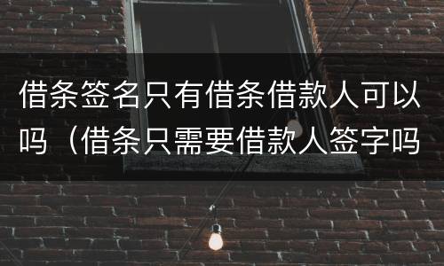 借条签名只有借条借款人可以吗（借条只需要借款人签字吗）