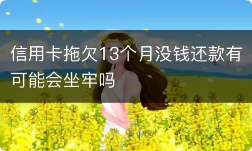 信用卡拖欠13个月没钱还款有可能会坐牢吗