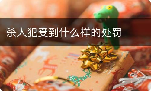 杀人犯受到什么样的处罚