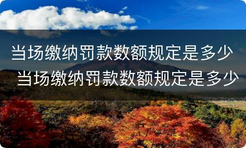 当场缴纳罚款数额规定是多少 当场缴纳罚款数额规定是多少钱