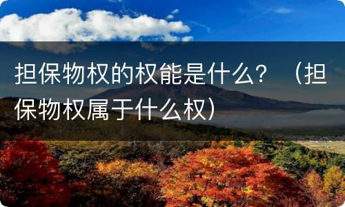 担保物权的权能是什么？（担保物权属于什么权）