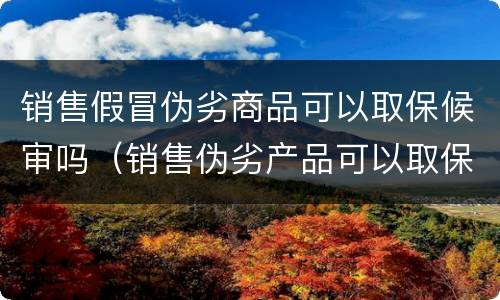 销售假冒伪劣商品可以取保候审吗（销售伪劣产品可以取保吗）