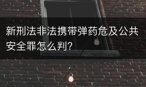 新刑法非法携带弹药危及公共安全罪怎么判?