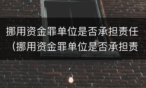 挪用资金罪单位是否承担责任（挪用资金罪单位是否承担责任的规定）