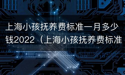 上海小孩抚养费标准一月多少钱2022（上海小孩抚养费标准一月多少钱2020年）