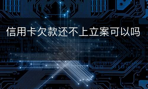 信用卡欠款还不上立案可以吗