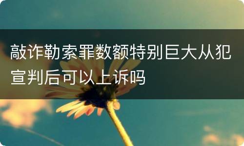 敲诈勒索罪数额特别巨大从犯宣判后可以上诉吗