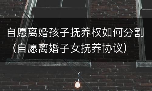 自愿离婚孩子抚养权如何分割（自愿离婚子女抚养协议）