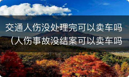 交通人伤没处理完可以卖车吗（人伤事故没结案可以卖车吗）