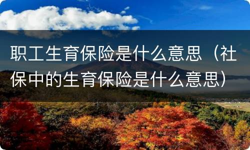 职工生育保险是什么意思（社保中的生育保险是什么意思）