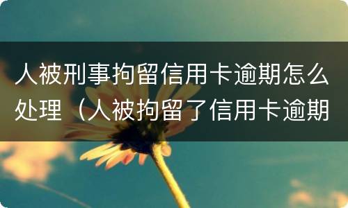 人被刑事拘留信用卡逾期怎么处理（人被拘留了信用卡逾期怎么办）