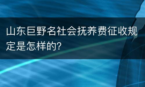 山东巨野名社会抚养费征收规定是怎样的？