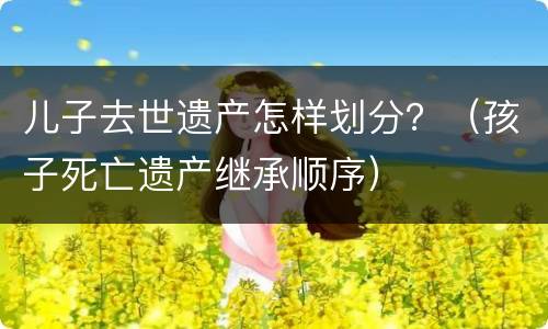 儿子去世遗产怎样划分？（孩子死亡遗产继承顺序）