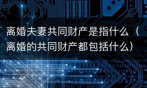 离婚夫妻共同财产是指什么（离婚的共同财产都包括什么）