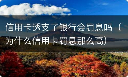 信用卡透支了银行会罚息吗（为什么信用卡罚息那么高）