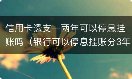 信用卡透支一两年可以停息挂账吗（银行可以停息挂账分3年偿还信用卡吗）