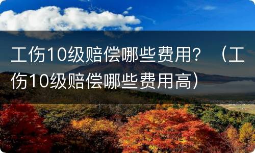 工伤10级赔偿哪些费用？（工伤10级赔偿哪些费用高）