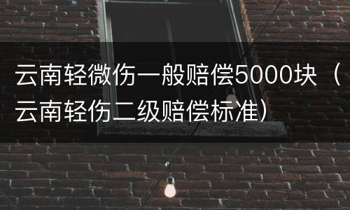 云南轻微伤一般赔偿5000块（云南轻伤二级赔偿标准）