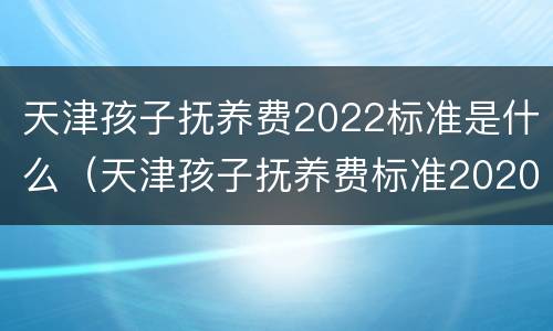 天津孩子抚养费2022标准是什么（天津孩子抚养费标准2020）