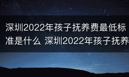 深圳2022年孩子抚养费最低标准是什么 深圳2022年孩子抚养费最低标准是什么呢