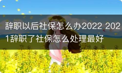 辞职以后社保怎么办2022 2021辞职了社保怎么处理最好